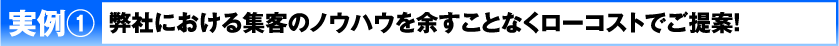 実例1 弊社における集客のノウハウを余すことなくローコストでご提案！